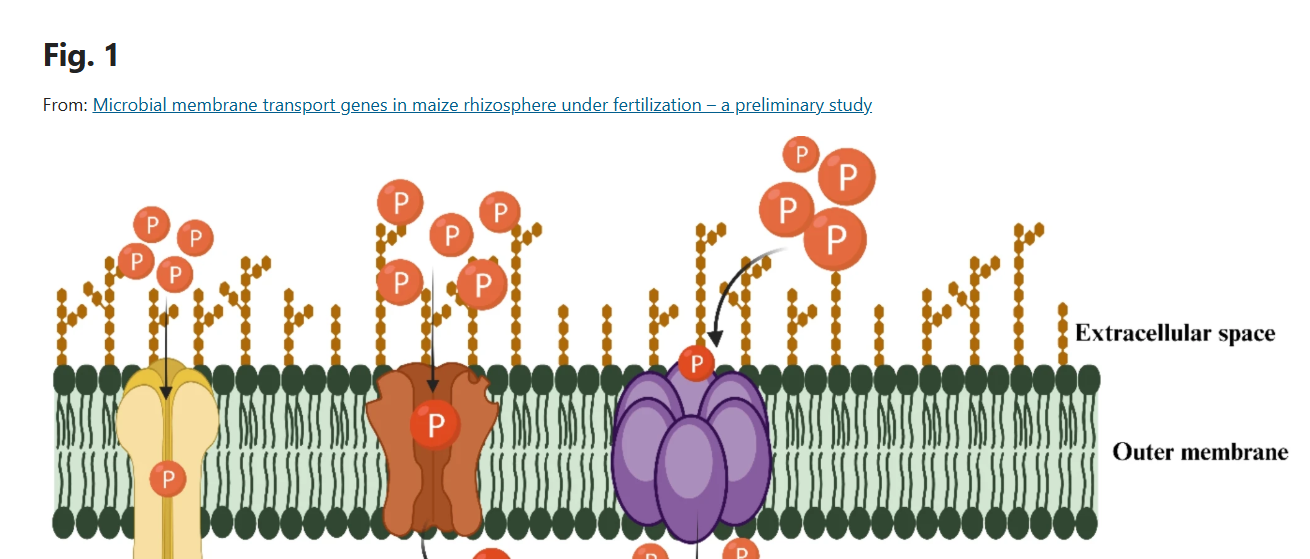 Microbial membrane transport thumbnail